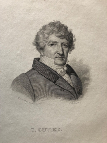 jean_leopold_nicolas_frederic_cuvier_lithographie_xixe_anatomie_anatomiste