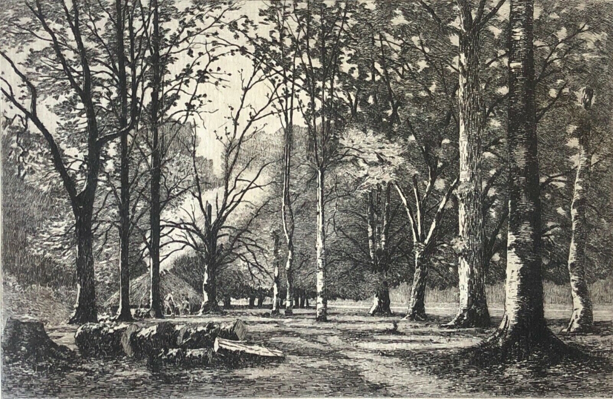 camille_bernier_1823-1902_les_sabotiers_du_bois_de_quimerch_finistere_bretagne