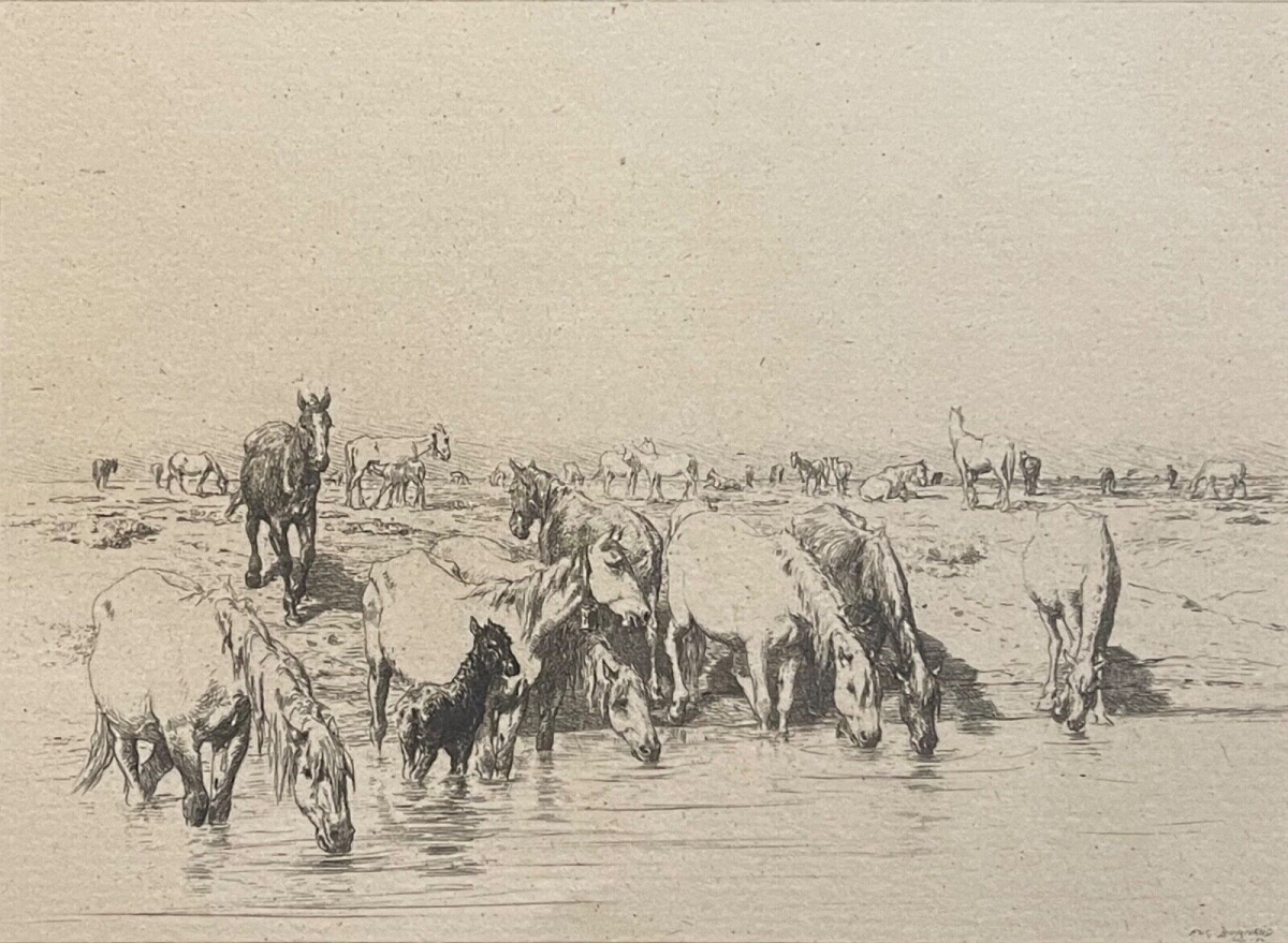chevaux_de_camargue_provence_pointe_seche_burnand_1884_cheval_france