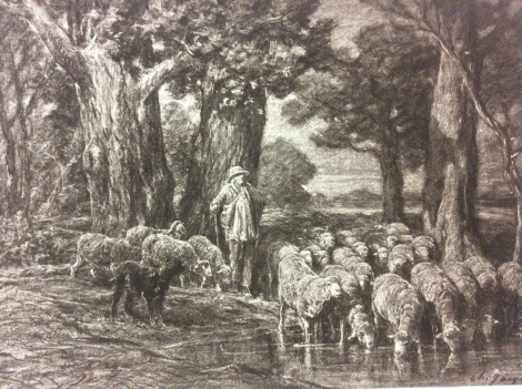 moutons_a_labreuvoir_barbizon_charles_emile_jacque_1813-1894_helio_g_petit