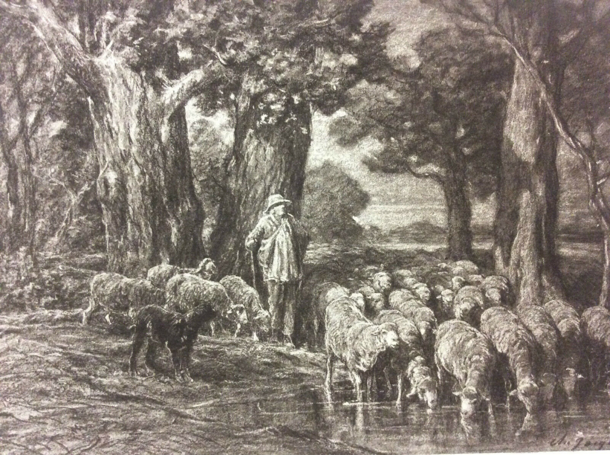 moutons_a_labreuvoir_barbizon_charles_emile_jacque_1813-1894_helio_g_petit