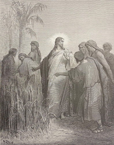 les_apotres_cueillant_des_epis_le_jour_du_sabbat_gustave_dore_1874_jesus-christ