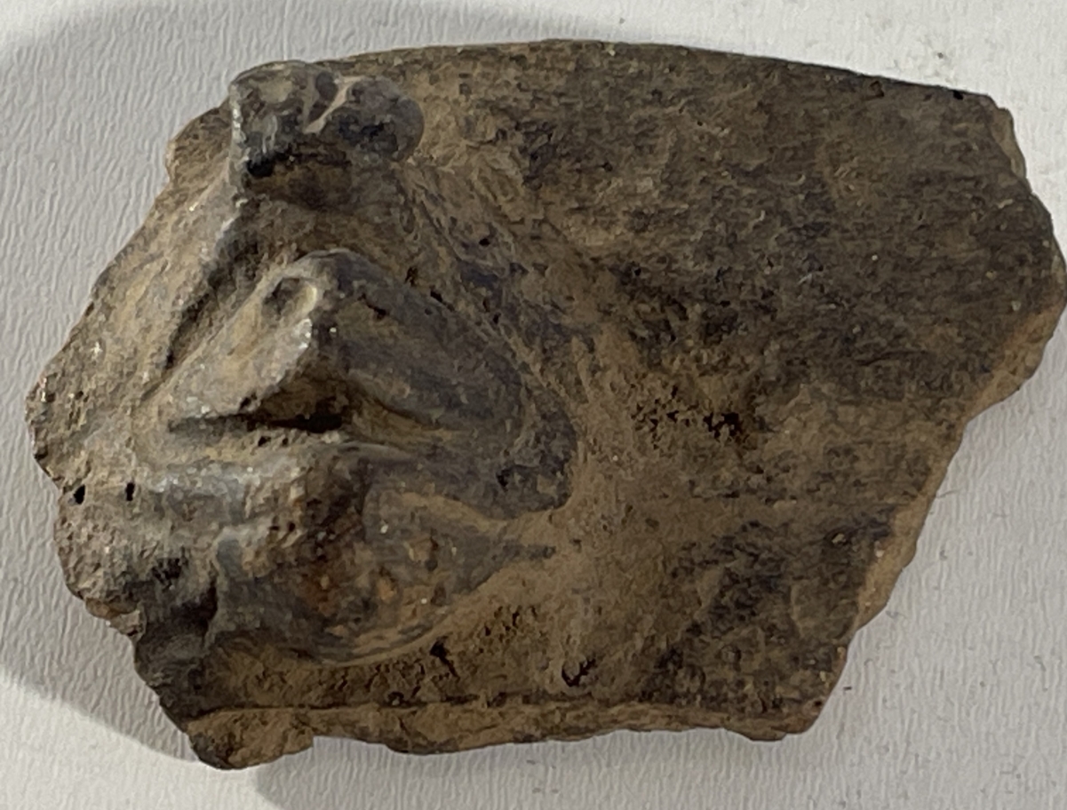 arts_premiers_tete_terre_cuite_caraibe_taino_ou_precolombien_copie