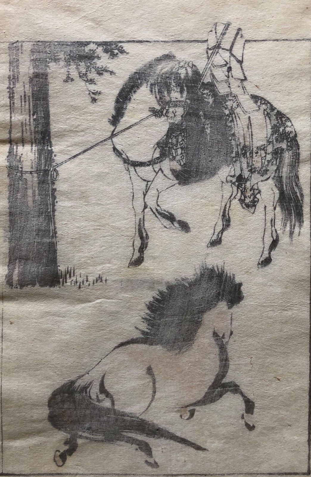 hokusai_1760-1849_japan_estampe_originale_1817_cheval_chevaux__