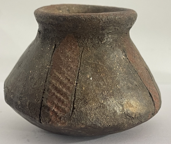 petit_pot_en_ceramique_et_degraissant_aurifere_non_identifiee