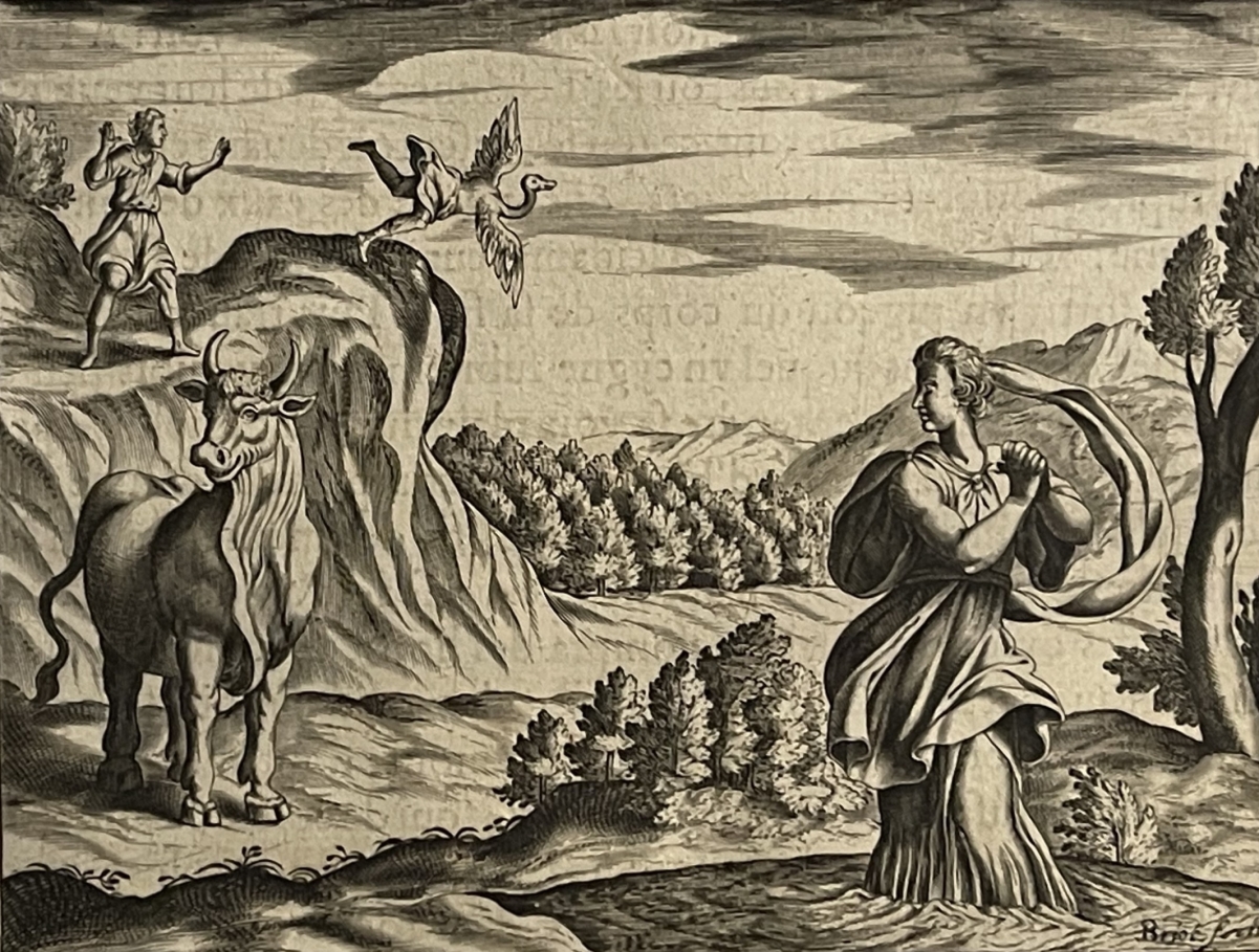 antonio_tempesta_1555-1630_cycnos_et_hyrie_graveur_briot_1619_taureau