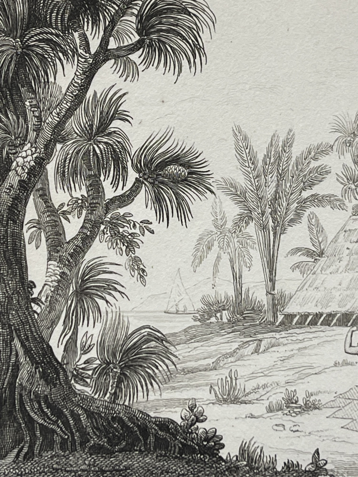caroline_islands_radak_island_original_antique_engraving_micronesia_1836_oceanie