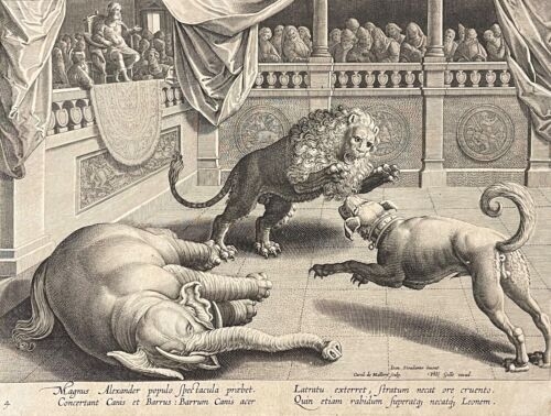 alexandre_combat_elephant_lion_chien_galle_jan_van_der_straet_mallery_circa_1595