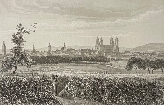 spire_allemagne_rhin_rhenanie-palatinat_vigne_vin_vendange_vers_1860
