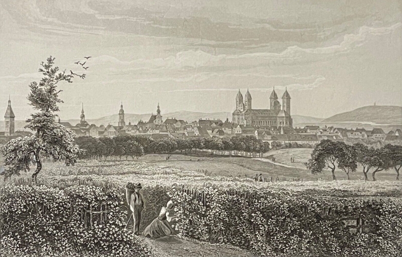 spire_allemagne_rhin_rhenanie-palatinat_vigne_vin_vendange_vers_1860