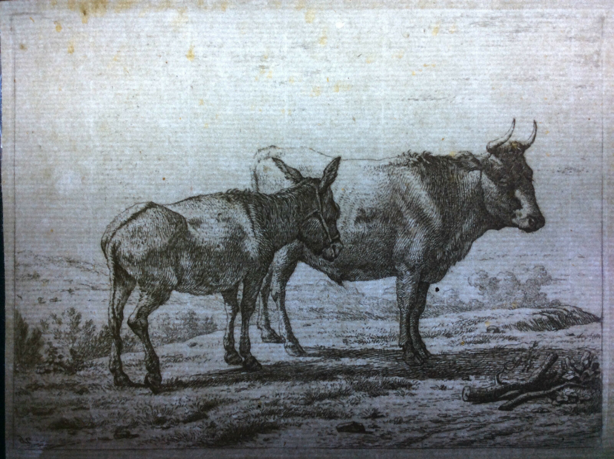 karel_dujardin_1626-1678_boeuf_et_ane_heliogravure_amand_durand_vers_1880