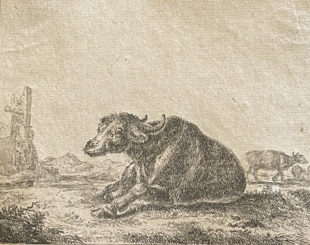 stefano_della_bella_buffle_1620-1664_tirage_tardif__xviiie_ou_xixe