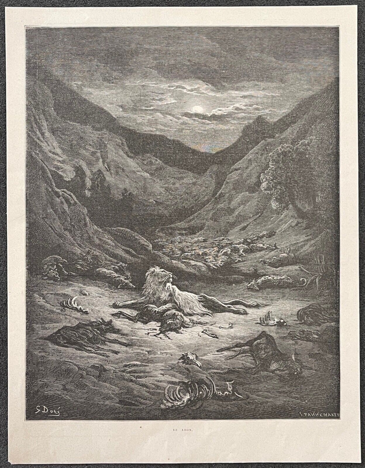 le_lion_gustave_dore_xylographie_fable_de_la_fontaine_1868