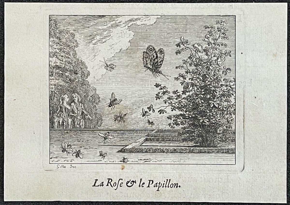 la_rose_et_le_papillon_par_claude_gillot_1673-1722_gravure_de_1719_france