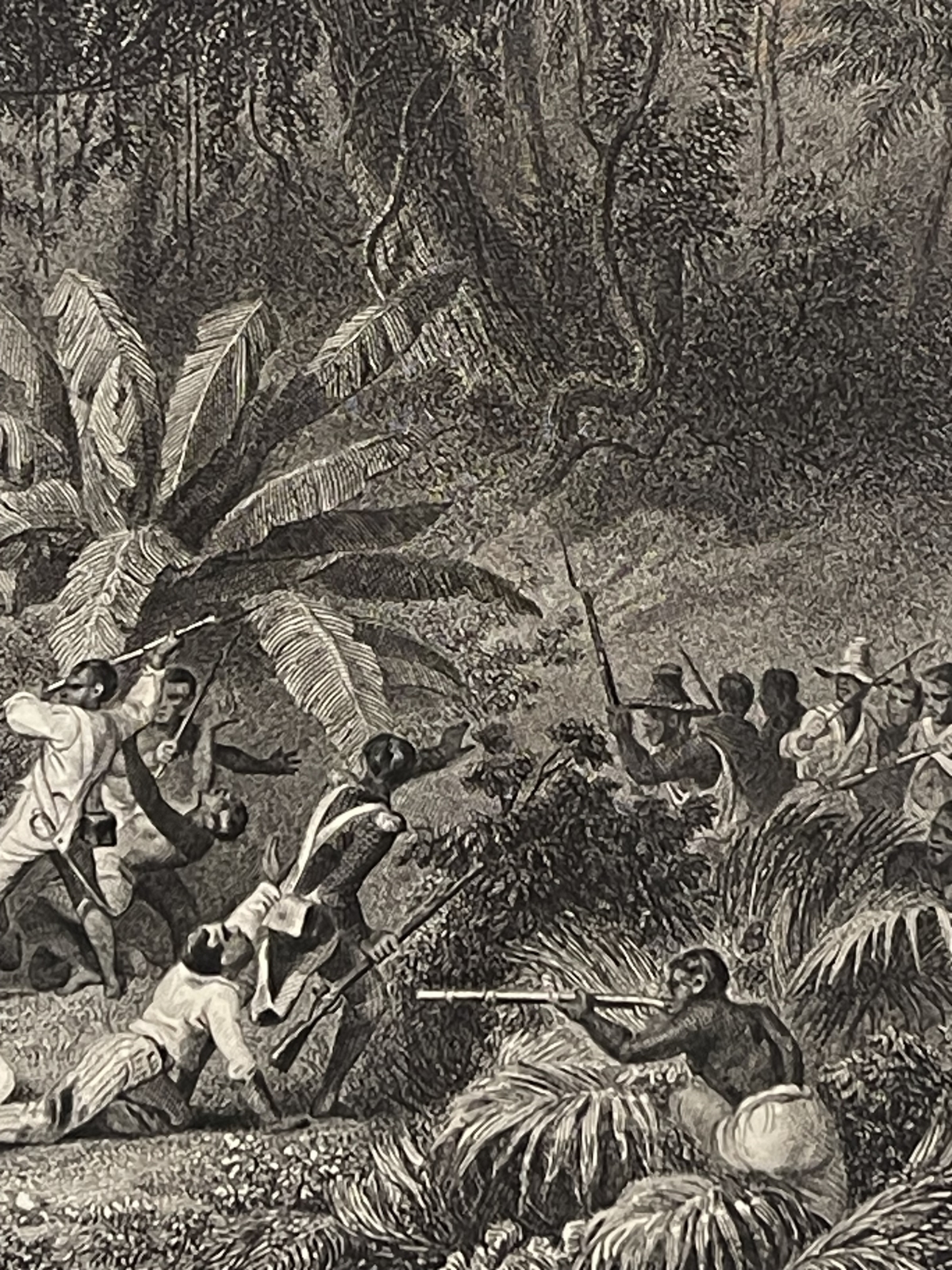 bataille_ravine_1802_a_couleuvres_retablissement_esclavagisme_esclave_1836_haiti