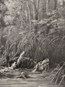 le_torrent_et_la_riviere_gustave_dore_xylographie_fable_de_la_fontaine_1868