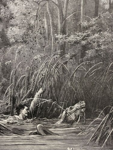 le_torrent_et_la_riviere_gustave_dore_xylographie_fable_de_la_fontaine_1868
