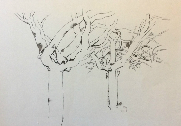 encre_arbres_signe_rl_peintre_a_identifier_1979