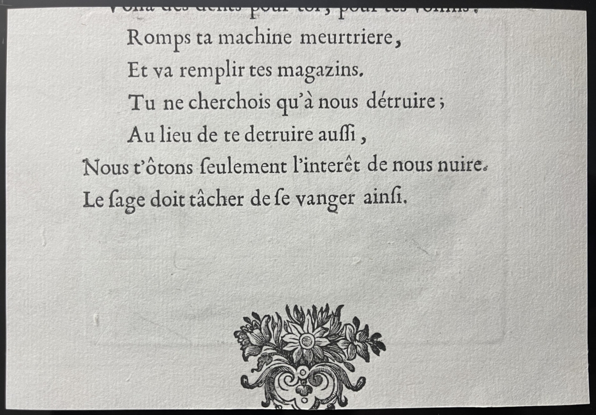 la_rave__plantes_potageres__claude_gillot_1673-1722_fable_1719