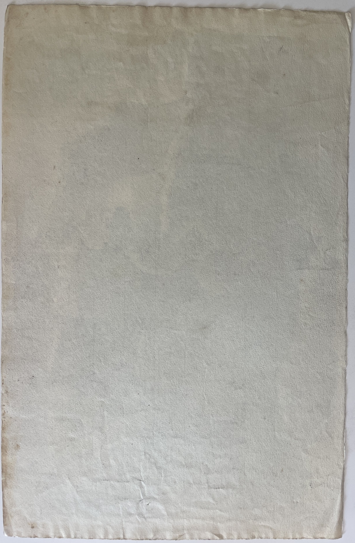 tete_de_roi_guerrier_par_h_paris_fusain_1910_france