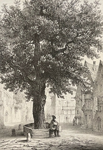 paris_orme_place_saint-gervais_lithographie_de_1839_france