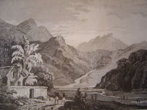 brasil_bresil__lavage_dor_a_villa_rica__gravure_sur_acier_de_1838_amazonie_