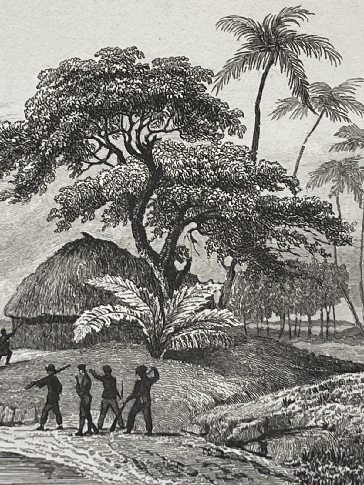 tonga_1836_engraving_french_attack_on_chief_tahofas_houses_pacific