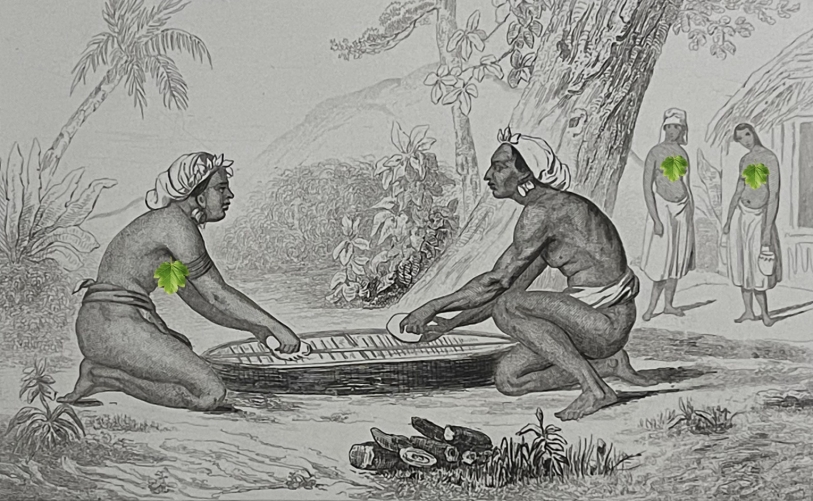 vanikoro_rape_du_faro_iles_santa_cruz_oceanie_1837_iles_salomon_cuisine