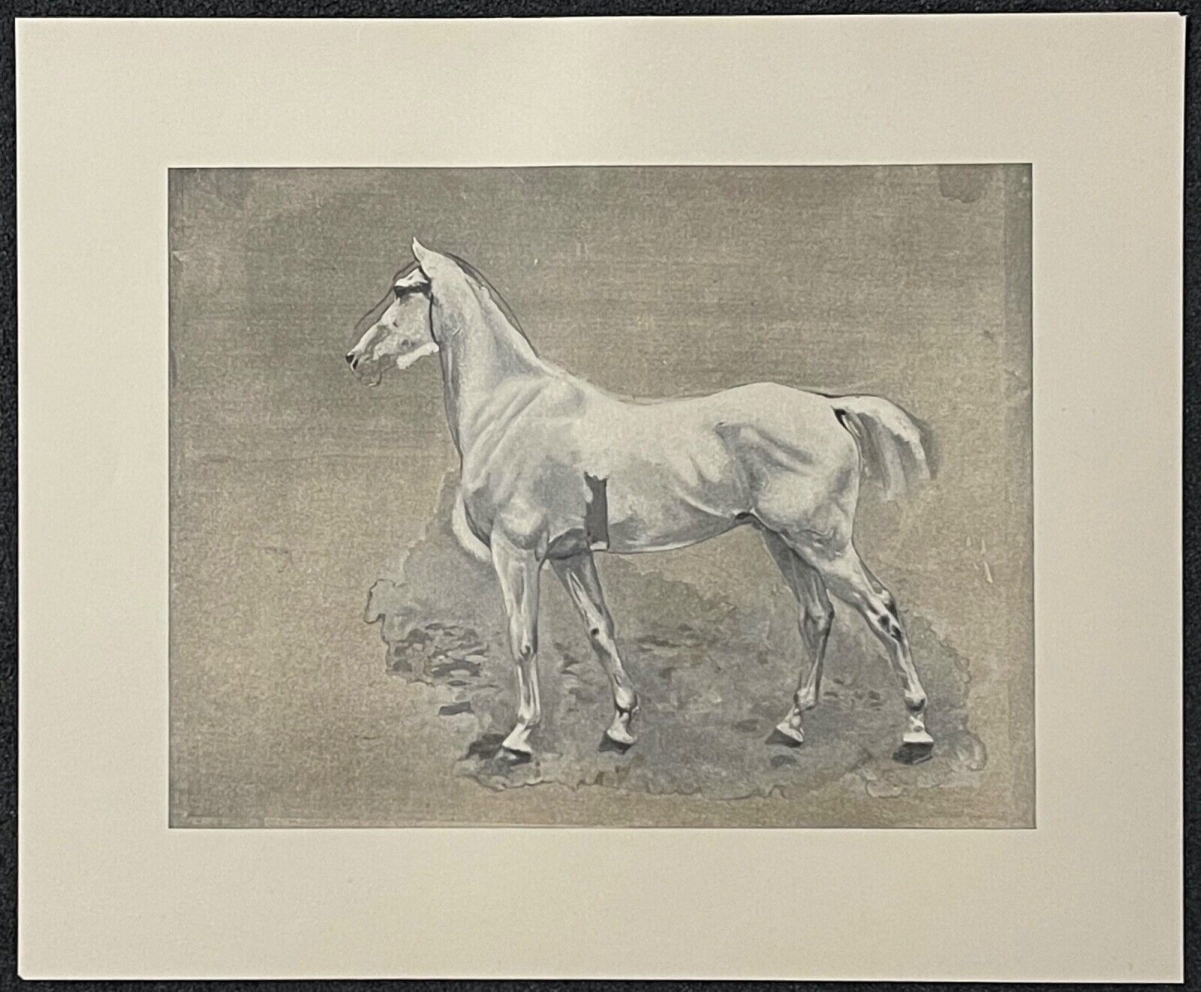 iena_1806_cheval_de_napoleon_bonaparte_ernest_meissonier_photogravure_de_1897