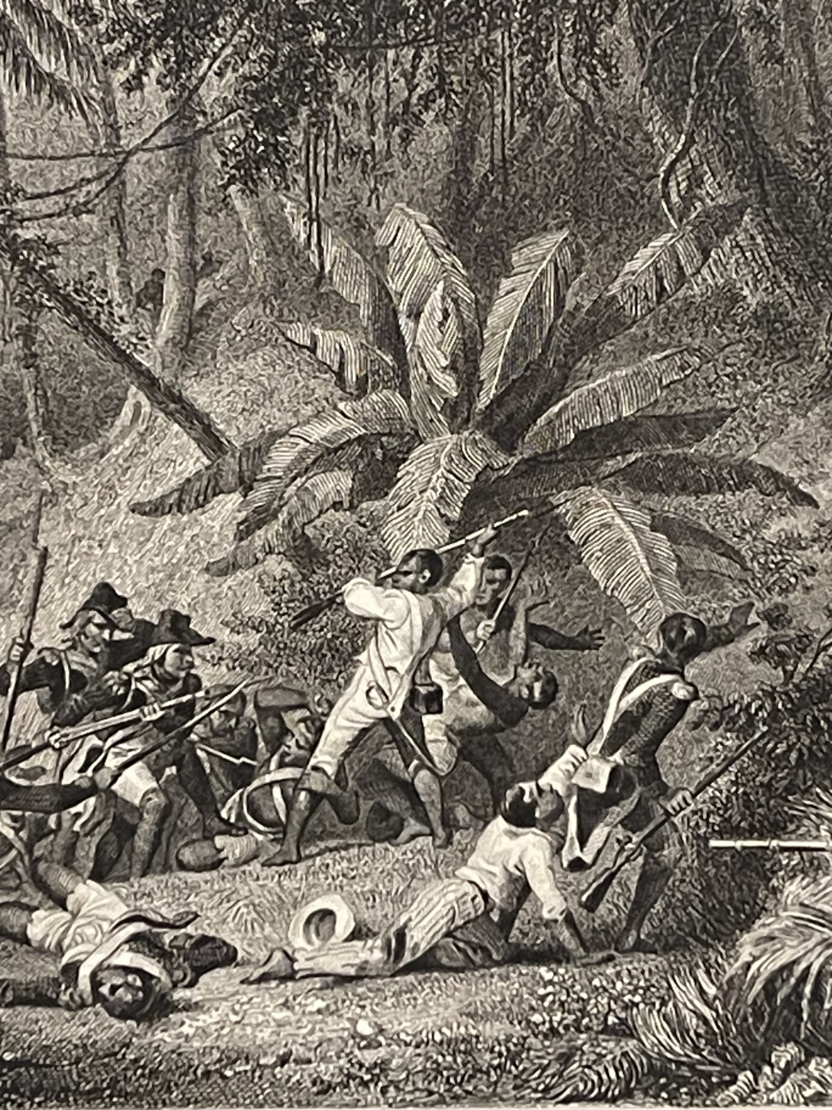 bataille_ravine_1802_a_couleuvres_retablissement_esclavagisme_esclave_1836_haiti
