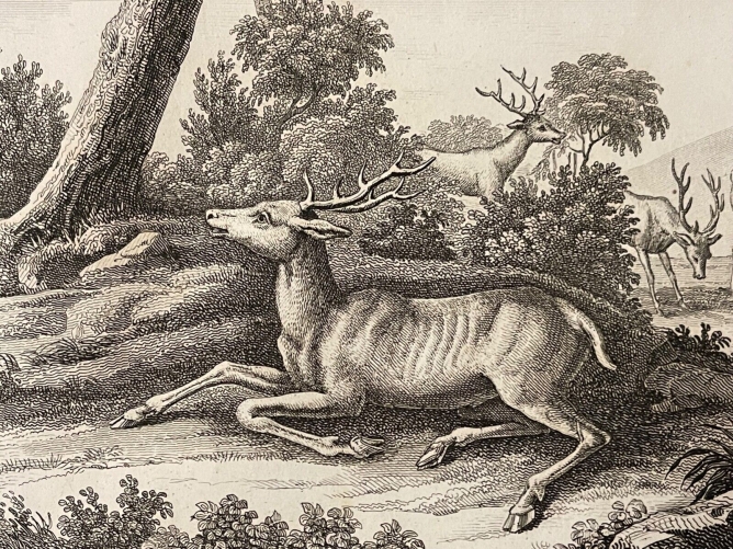 le_cerf_malade_d???apres_jean_de_la_fontaine_gravure_vers_1830