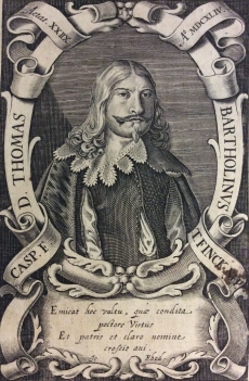 thomas_bartholinus_1616-1680_bartholin_medecin_danmark_xviie_anatomie