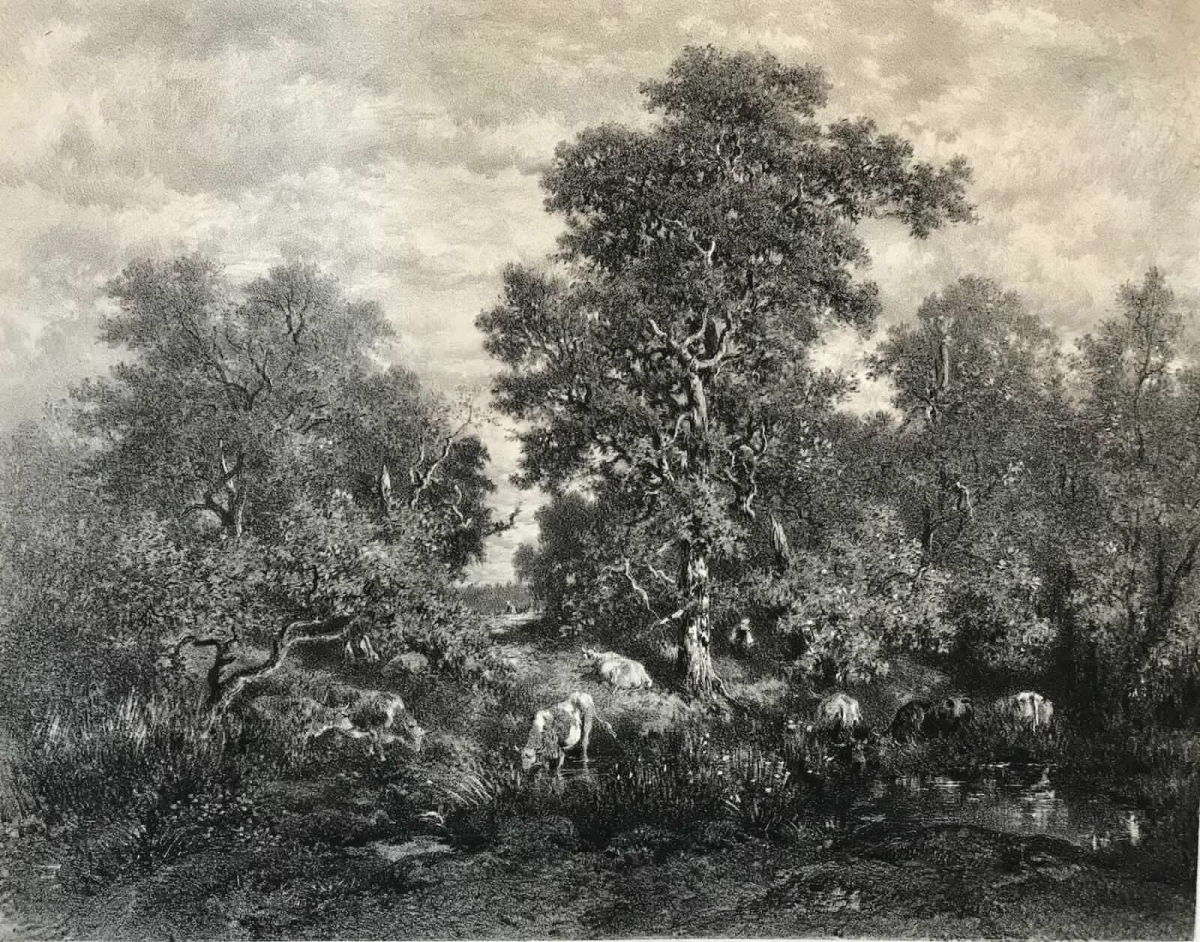 theodore_rousseau_la_mare_gravee_par_j_laurens_circa_1876_barbizon_litographie