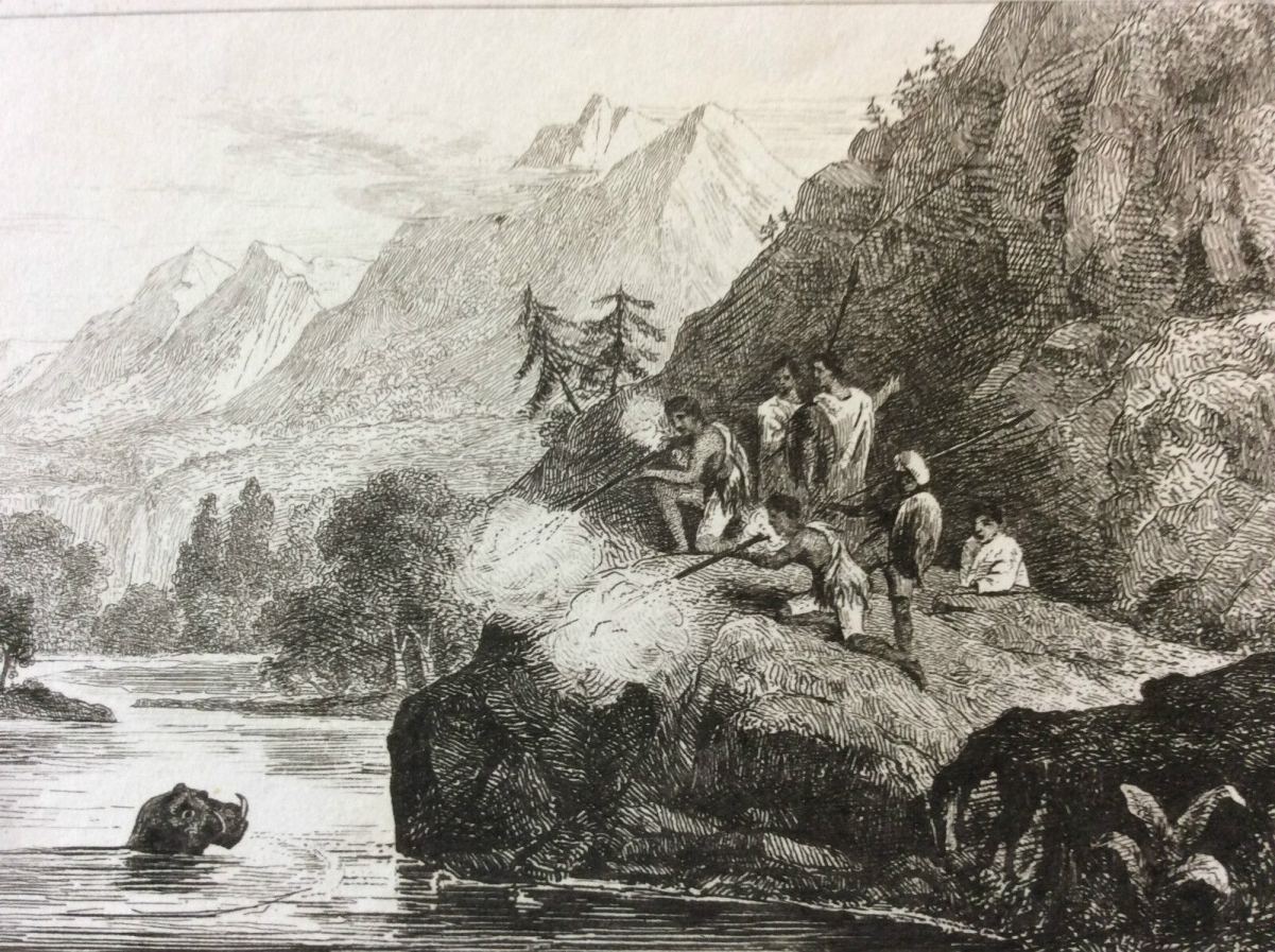 abyssinie_abyssinien_ethiopie_erythree_soudan_chasse_hippopotame_gravure_xix_e