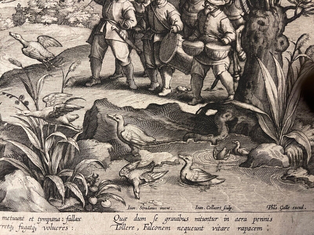 faucon_chasse_aux_canards_philippe_galle_van_der_straet_collaert_c_1595_oiseaux