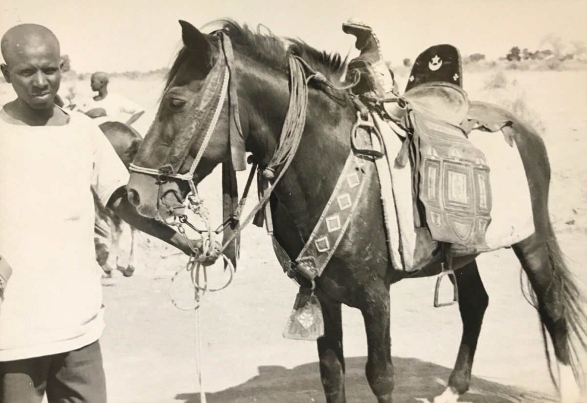 cameroun_rhumsiki_afrique_cavalier_a_pied_kapsiki_circa_1950_argentique