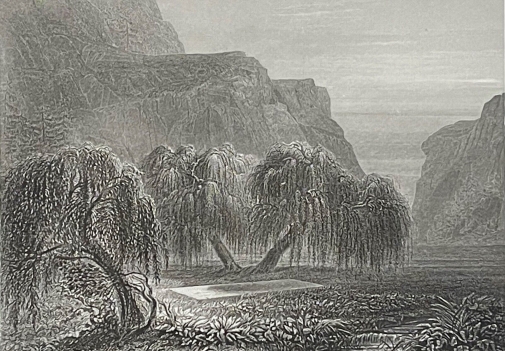 napoleon_bonaparte_sainte_helene_france_gravure_1862