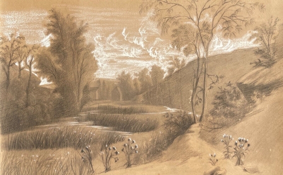 paysage_de_france_vers_1850_technique_mixte_anonyme_chardons