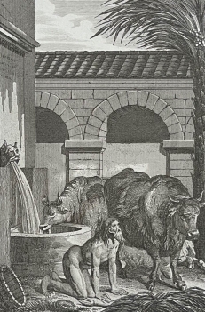 nabuchodonosor_chasse_de_la_compagnie_des_hommes_gravure_de_1835_france