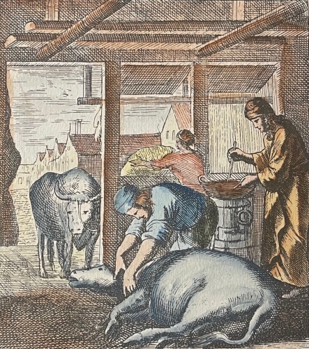 le_veterinaire_bois_grave_xylographie_xxe_vache