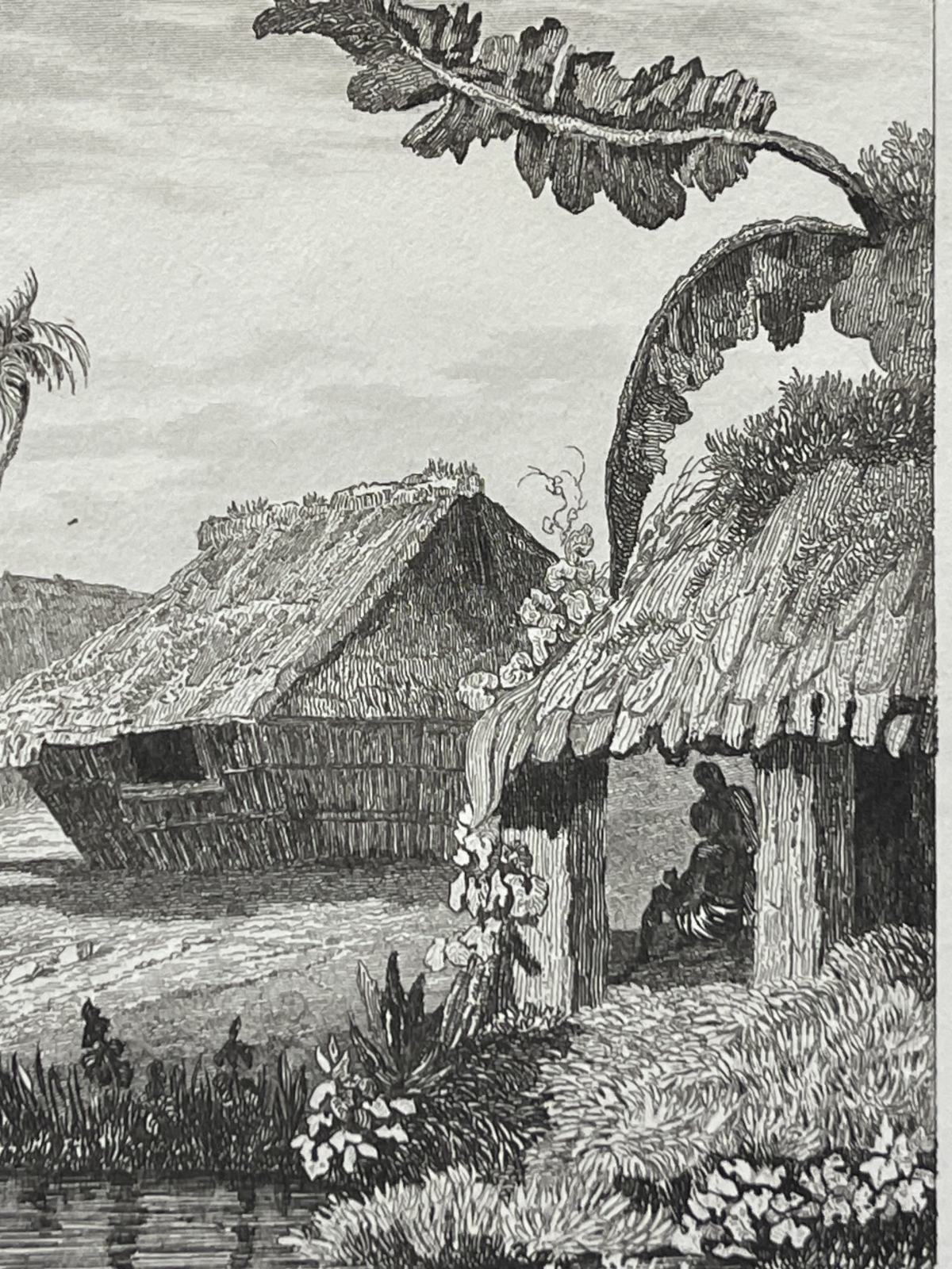 tonga_engraving_namuka_rotterdam_island_village_pacific_ocean_1836_oceanie