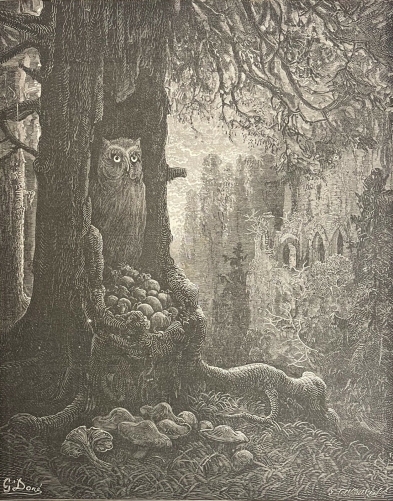 les_souris_et_le_chat-huant_hibou_gustave_dore_xylographie_fable_fontaine_1868