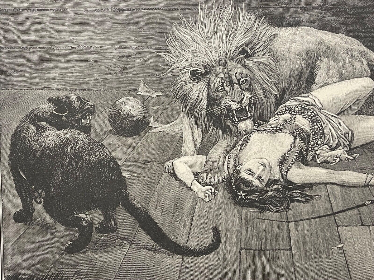 tigre_lion_panthere_leopard_cirque_stanley_berkeley_1855-1909_revolte_circa_1880