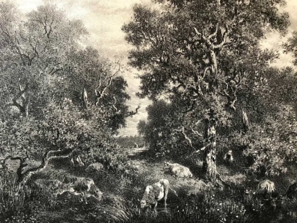 theodore_rousseau_la_mare_gravee_par_j_laurens_circa_1876_barbizon_litographie