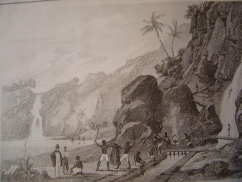 brasil_bresil__lavage_dun_minerai_dor__montagne_stacolumi__gravure_sur_acier_1838