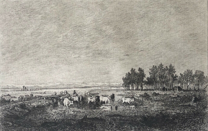 theodore_rousseau_grave_par_gustave_greux_1838-1919_marais_dans_les_landes_1881