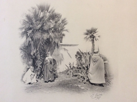 photogravure_j_geiser_type_algerien__circa_1880_algerie_alger_