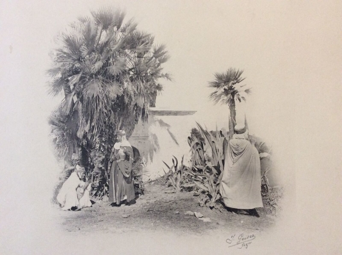 photogravure_j_geiser_type_algerien__circa_1880_algerie_alger_
