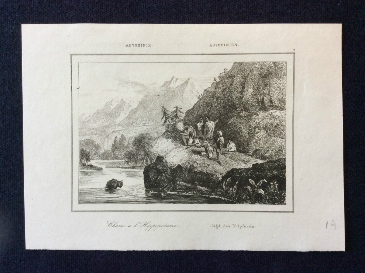 abyssinie_abyssinien_ethiopie_erythree_soudan_chasse_hippopotame_gravure_xix_e