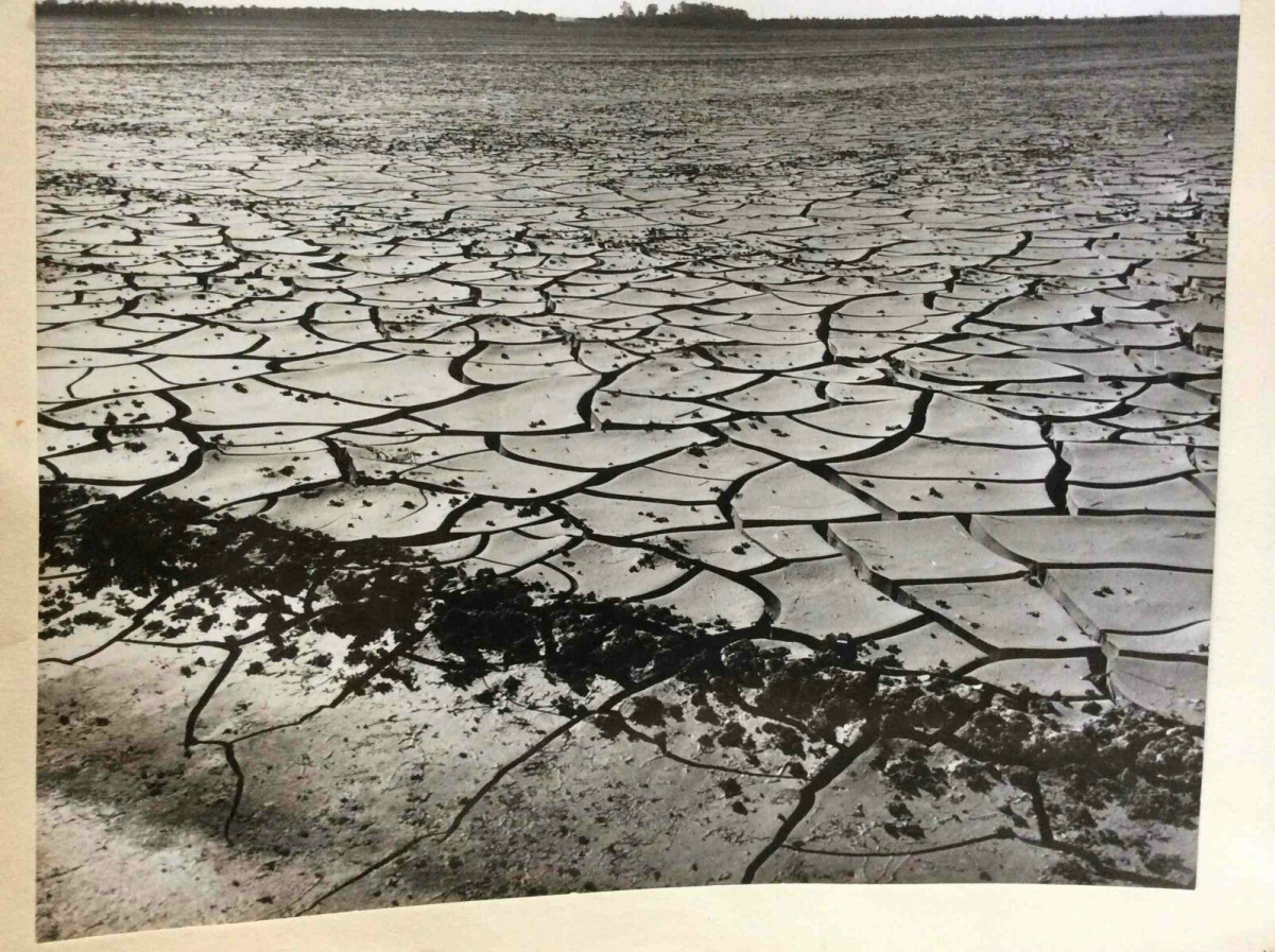maroc__tirage_argentique_anonyme_entre_1930_et_1960__secheresse__al-_maghrib_